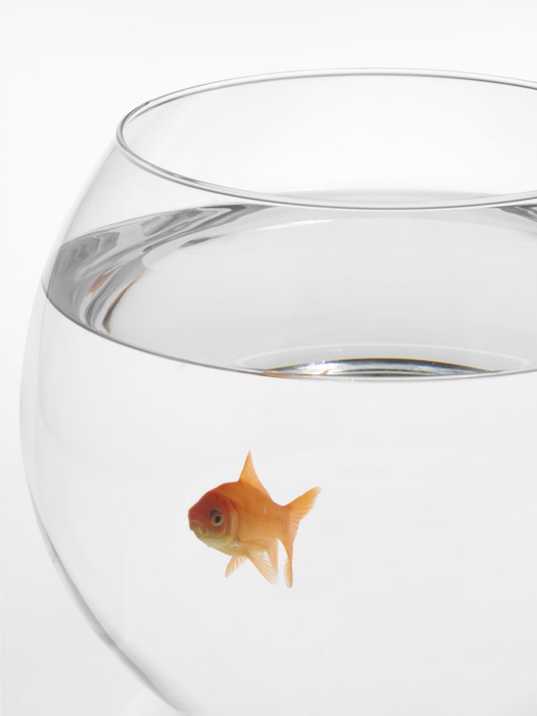 http://www.stockfreeimages.com/